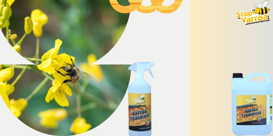 Ennetage Varroa esinemist ja kaitske meie mesilasi tõhusalt