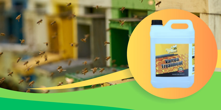 Avastage Stop Varroa, efektiivne ja riskivaba varroavastane ravi, mida olete otsinud!