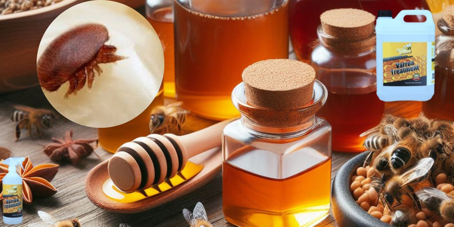 Varroa ravimine ilma oma mesilasi tapmata: Ekspertide nõuanded